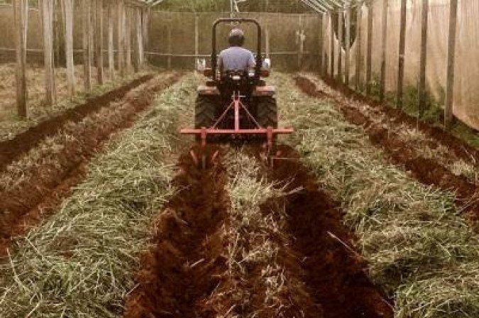 Benefício é maior para produtores que comprovarem atividades sustentáveis - (crédito: Saulo Brand?o/Divulgacao) Benefício é maior para produtores que comprovarem atividades sustentáveis - (crédito: Saulo Brand?o/Divulgacao)