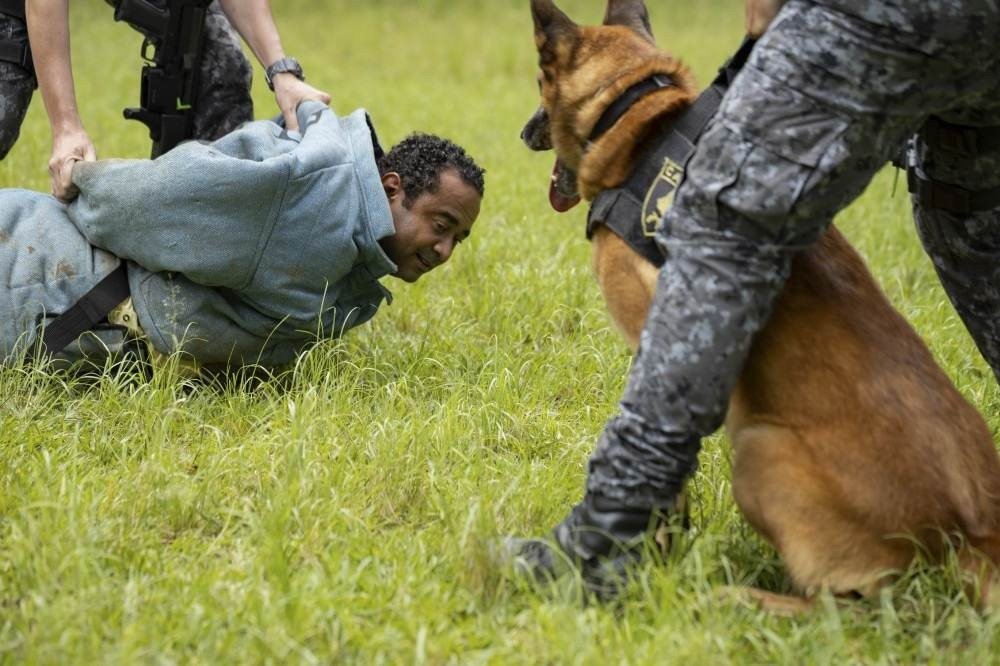 Jacquin leva dono do Mamma Júlia para ter aula de disciplina.