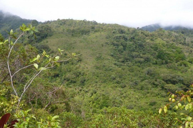  (crédito: David Edwards/Divulga??o)