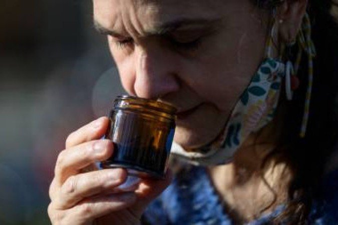 Análise de infectados mostra que há um ataque imunológico contínuo a células nervosas olfativas - (crédito: ANGELA WEISS) Análise de infectados mostra que há um ataque imunológico contínuo a células nervosas olfativas - (crédito: ANGELA WEISS)