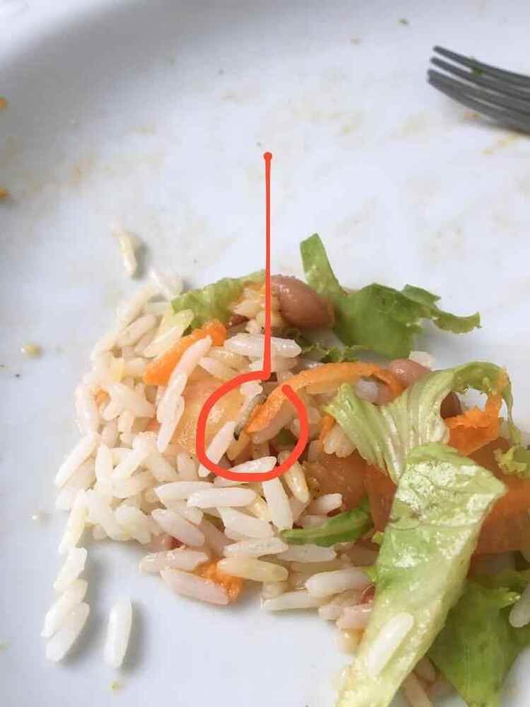 Larva no meio de um pequeno monte de arroz, fejão e alface