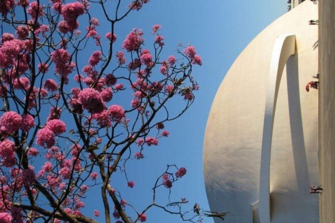 Fotos do fotógrafo Alain Barki