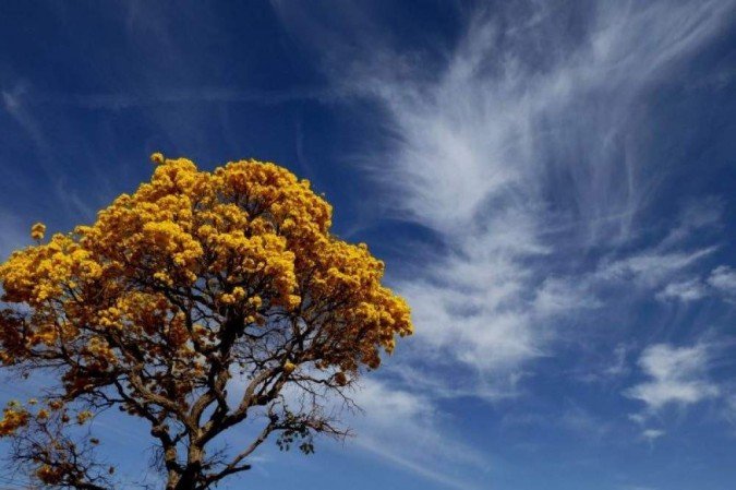 Fotos do fotógrafo Alain Barki