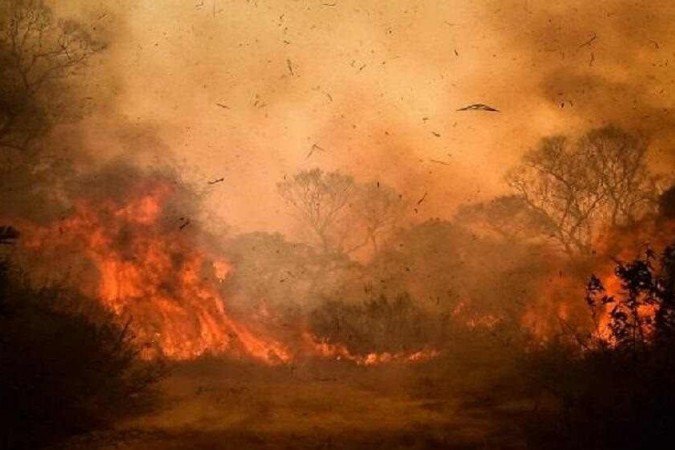 Quase 30 obras audiovisuais estão alinhadas no festival de caráter gratuito -  (crédito: Eco Festival/ Divulgação)