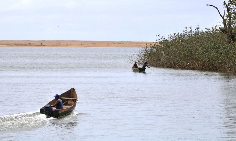 Mariana: pesquisadores encontram metais tóxicos em peixes do Rio Doce