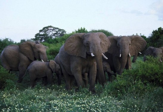 South African Tourism/Divulgação