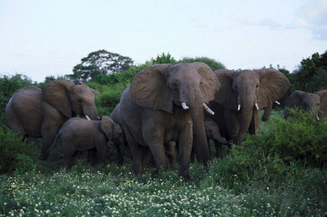  (crédito: South African Tourism/Divulgação)