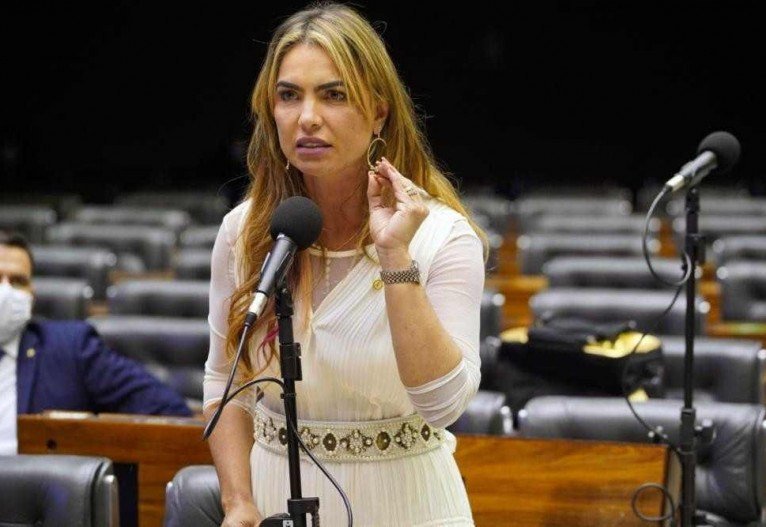 Discussão e votação de propostas. Dep. Paula Belmonte (CIDADANIA - DF)