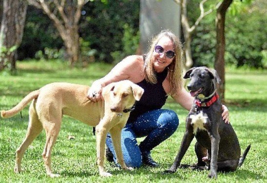 Ed Alves/CB/D.A Press