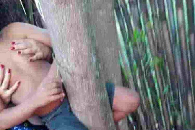 Menino de 5 anos precisou ser resgatado pelo Corpo de Bombeiros após ficar entalado em uma árvore