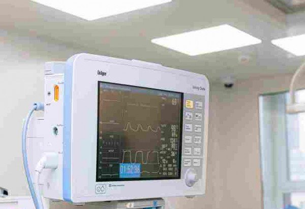  (crédito: Anna Shvets)