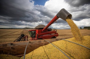 A soja é uma das commodities cuja circulação pode ser comprometida no mercado da União Europeia  -  (crédito: Wenderson Araujo/Trilux)