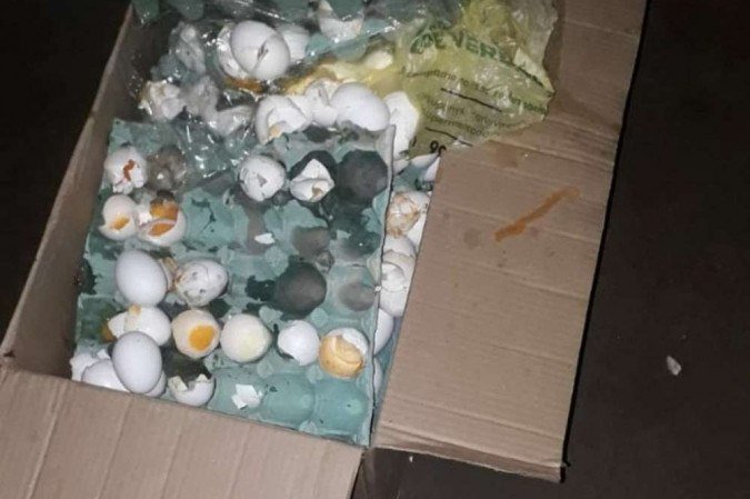  (crédito: Polícia Civil do DF)