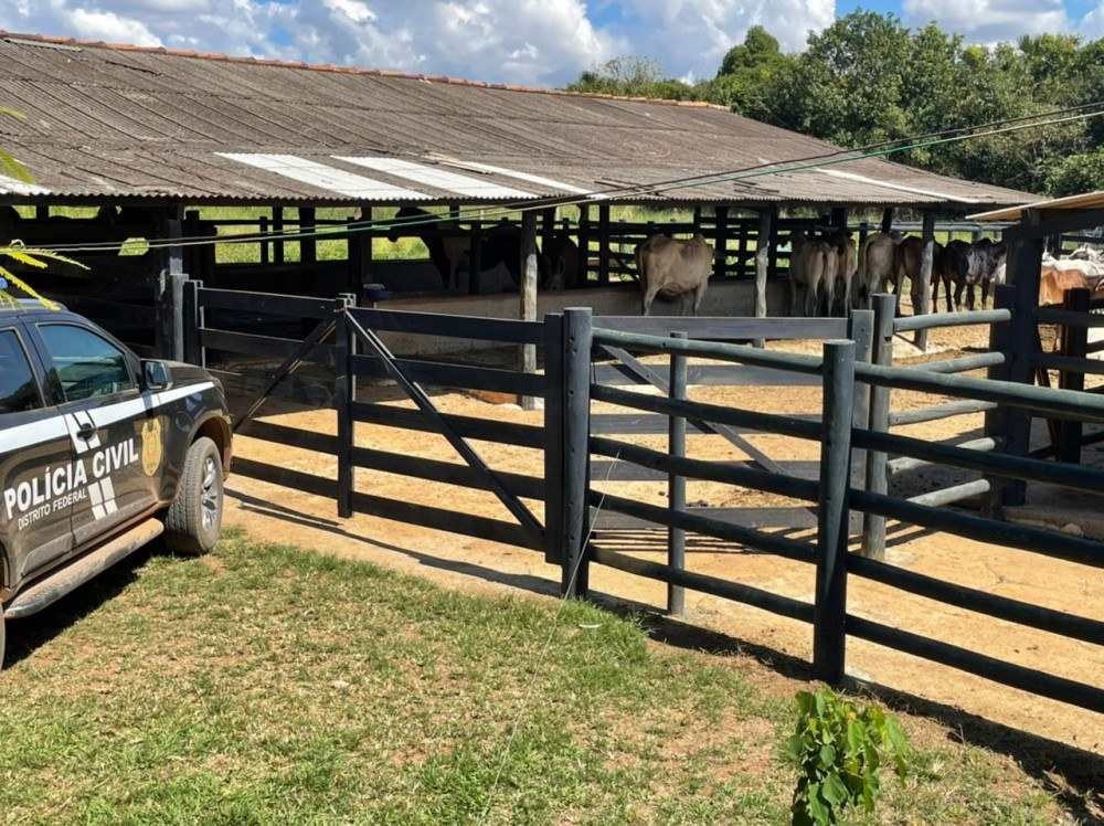 Quadrilha que roubava gado tentou matar vaqueiro em São Sebastião