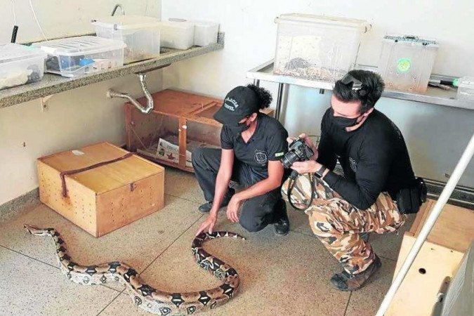  (crédito: Arquivo Pessoal)