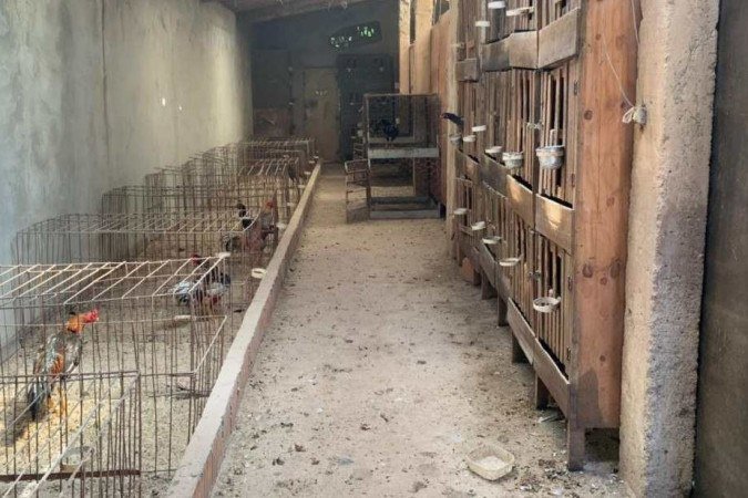 Proprietário da casa recebeu multa em mais de R$ 200 mil