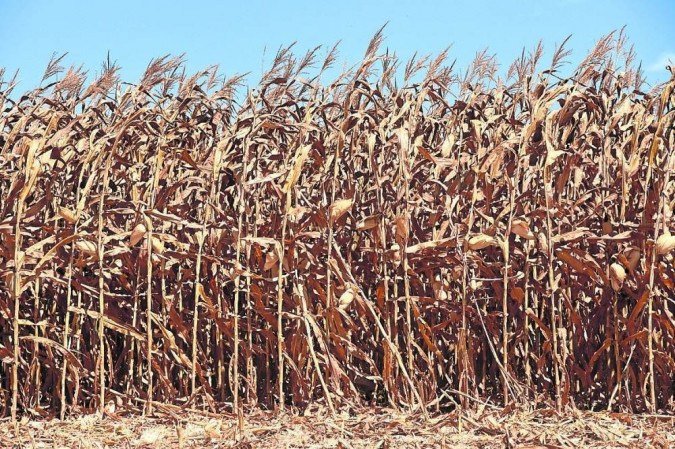  (crédito: Ed Alves/CB/D.A Press - 13/8/20)