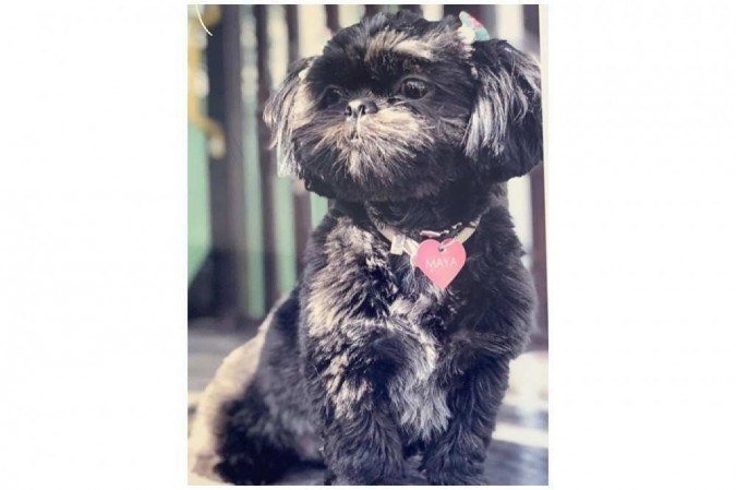 Por prescrição médica, Maya toma vitamina D3 e ômega 3 em formato de petisco 