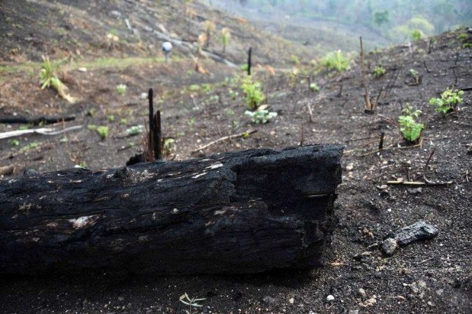  (crédito: AFP / JOHAN ORDONEZ)