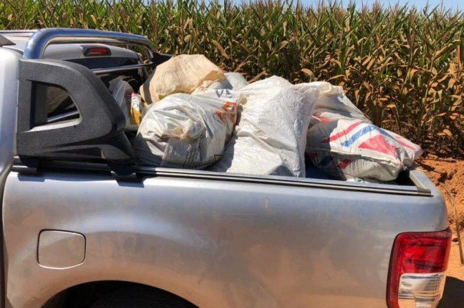  (crédito: PMDF/Divulgação)