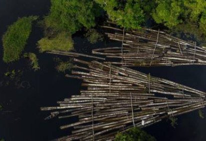  (crédito: RICARDO OLIVEIRA)