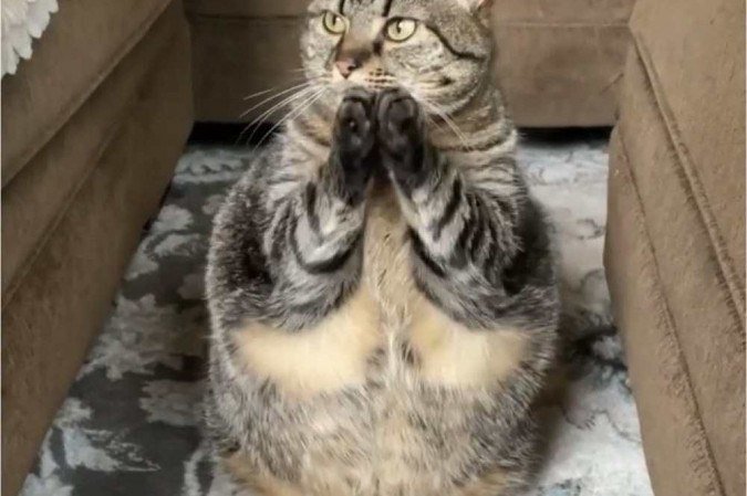  (crédito: Swayze Nelson/Instagram/Reprodução)