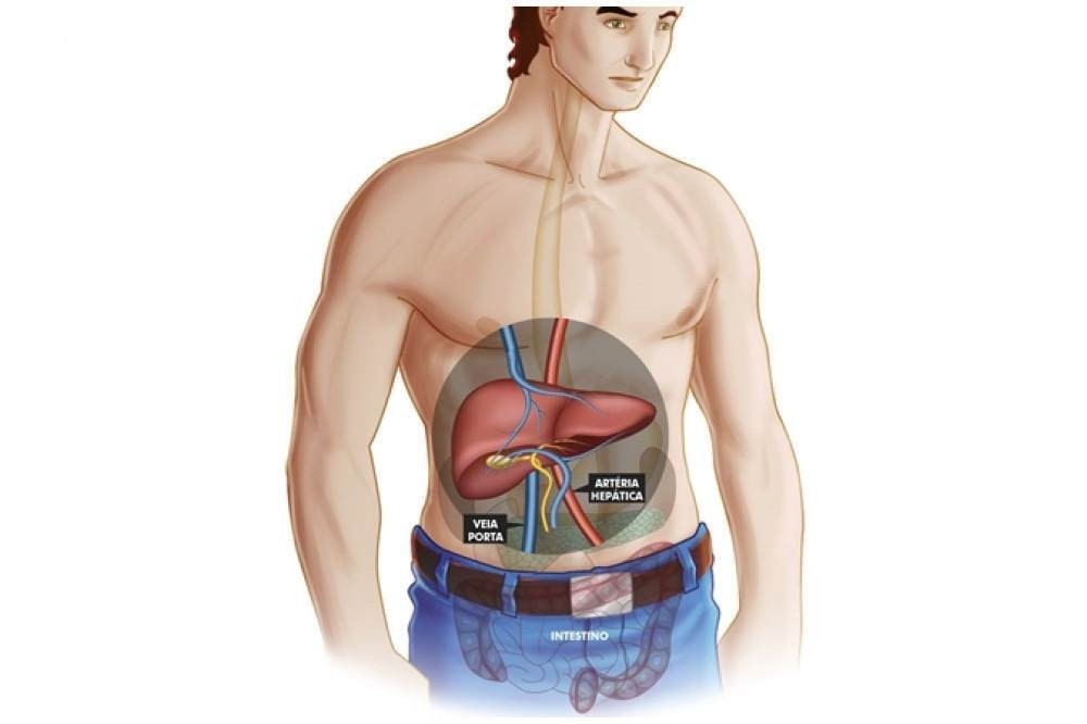 O abc das hepatites: entenda as diferenças entre o tipos