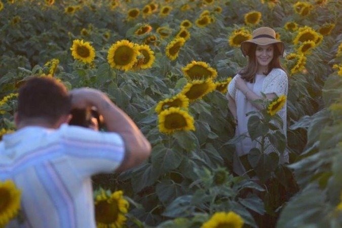Plantação de Girassol vira ponto para fotografia de diversos estilos. BR 251 próximo à Festa do AgroBrasilia, caminho para Unaí.