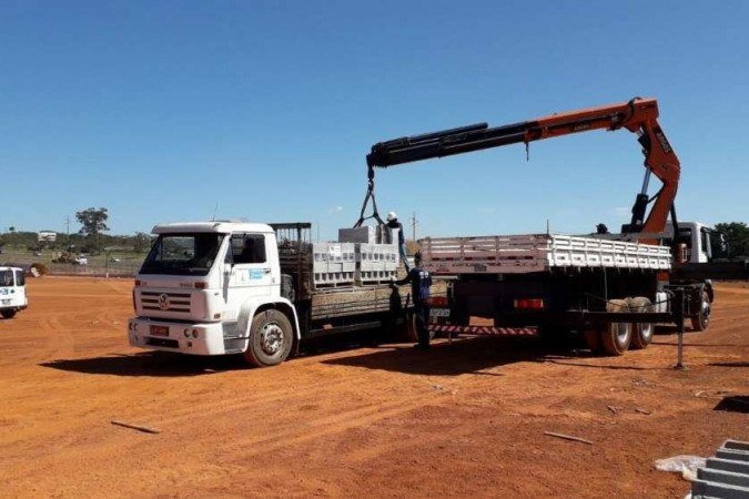 A ação ocorreu nesta terça (25/5), nas margens da BR-020 -  (crédito: DF Legal/Divulgação)