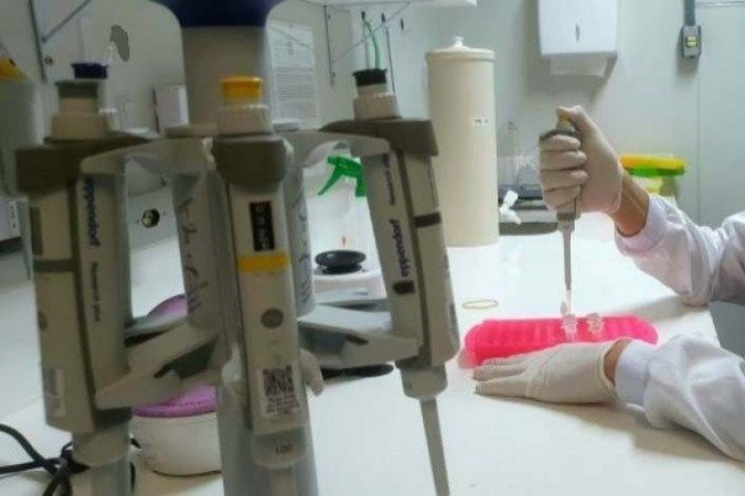 Conduzido por mestrando em nanociência e nanobiotecnologia da UnB, o estudo aponta que o fármaco atazanavir, antirretroviral indicado para tratamento do HIV, agente causador da aids, pode ter ação contra o Sars-Cov-2 -  (crédito: Carlos Vieira/CB /D.A.Press)