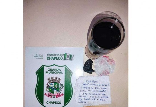 Guarda Municipal de Chapecó/Reprodução