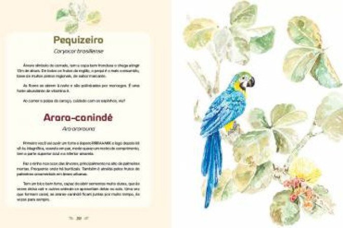 2021. Crédito: Editora Mais Amigos/Reprodução. Cultura. O mais novo livro do poeta e ecologista Nicolas von Behr elenca 27 espécies vegetais e de aves típicas do cerrado, com aquarelas de Therese von Behr. Páginas do livro Aves, cores e flores do cerrado.