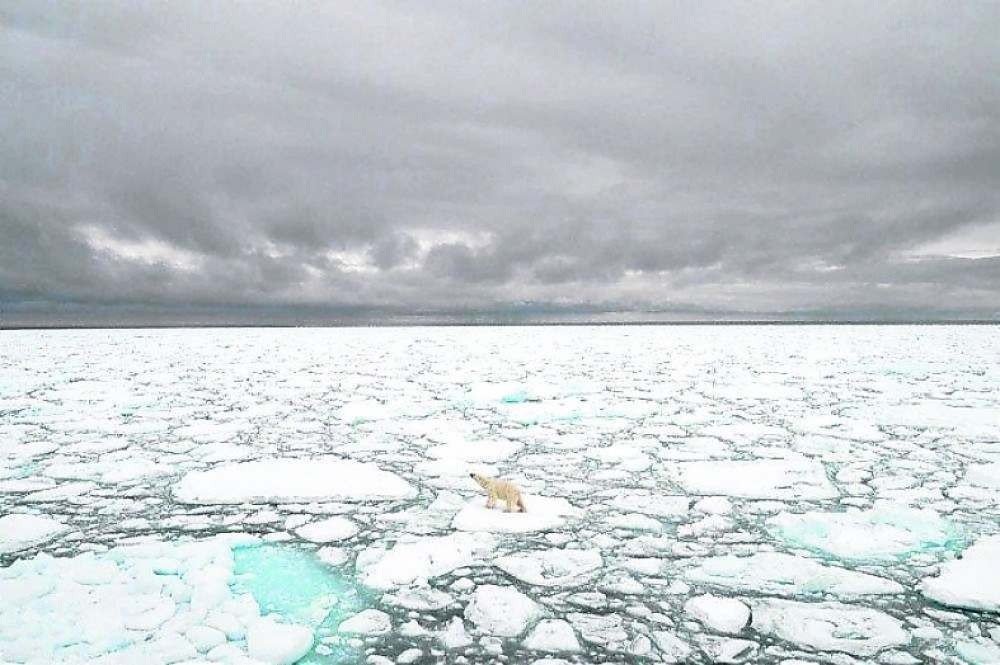 Onda de calor causa derretimento 'maciço' do manto de gelo na Groenlândia