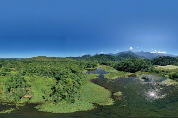  (crédito: Divulgação / Projeto Guapiaçu)