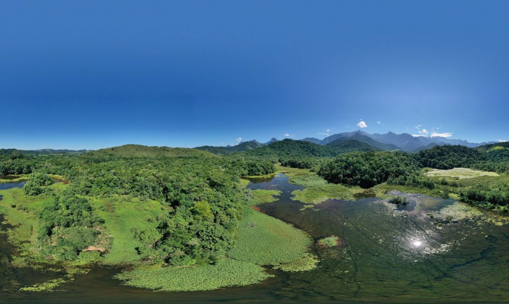 Campanha Bosques da Memória faz homenagem a vítimas da covid-19 no Rio de Janeiro