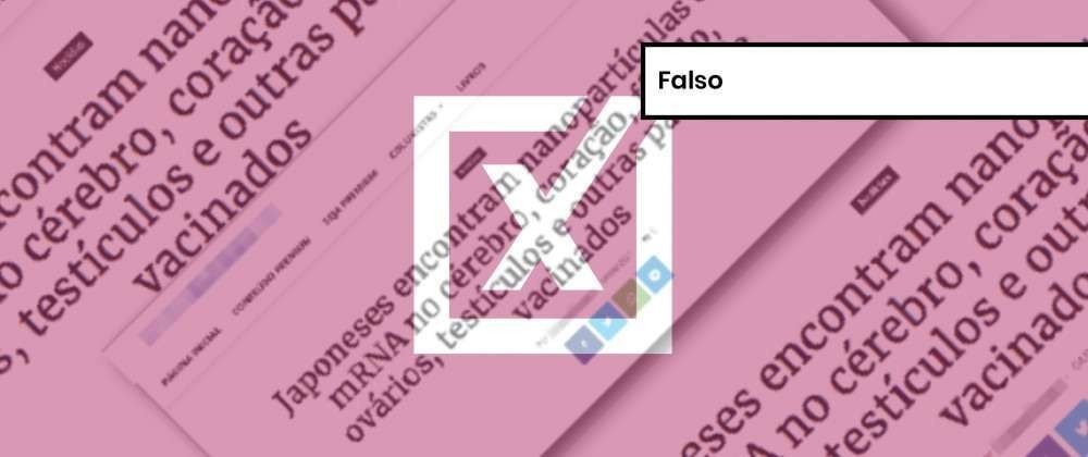  (crédito: Projeto Comprova/Reprodução)