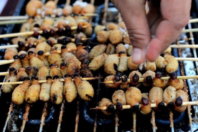 Insetos: o alimento supernutritivo desprezado pelo mundo ocidental