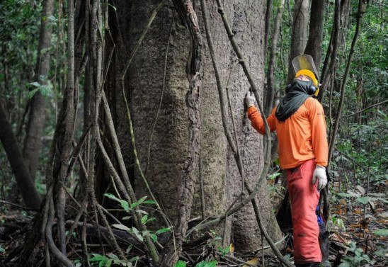Tomaz Silva/Agência Brasil