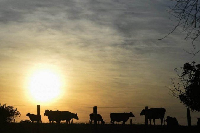 Buscas por Lázaro Barbosa em Girassol (GO), acusado de assassinar uma família em Ceilândia