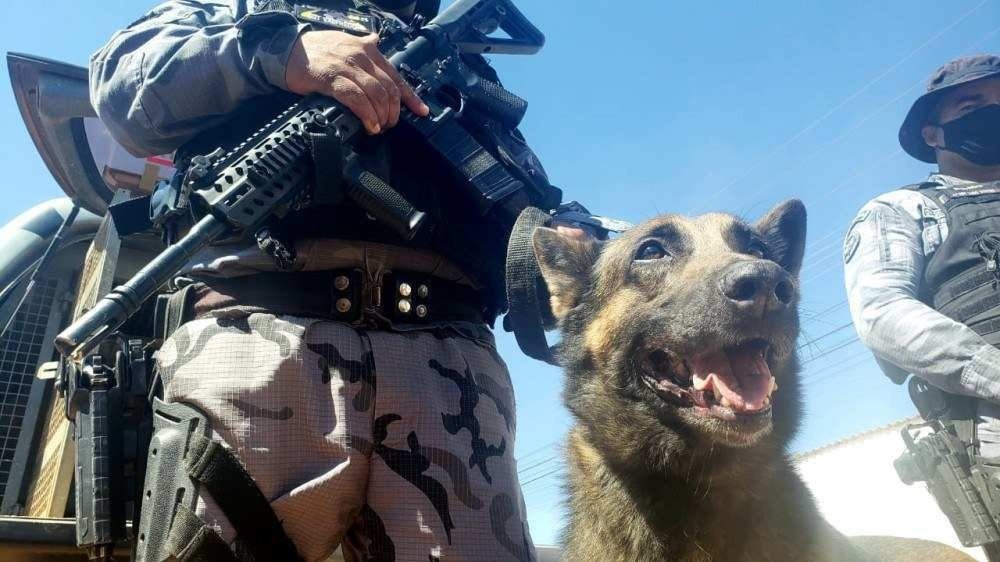 Na última quinta-feira, o Secretário de Segurança Pública do Goiás informou que agentes encontraram uma pedaço de pano com sangue, que seria, possivelmente, de Lázaro. 
