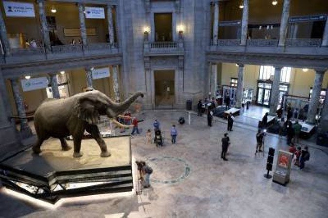 Museu de História Natural Americana Smithsonian: na mira do governo  -  (crédito: Win McNamee/AFP)