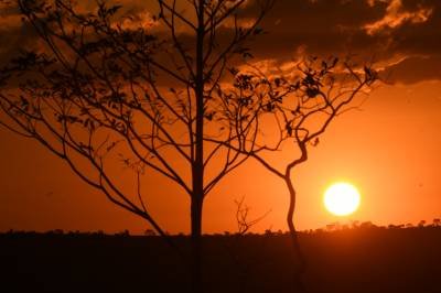 20/06/2021. Crédito: Ed Alves/CB/D.A Press. Brasil. Brasilia - DF. Cidades. Tempo seco e pôr do sol na região de Girassol (GO).
