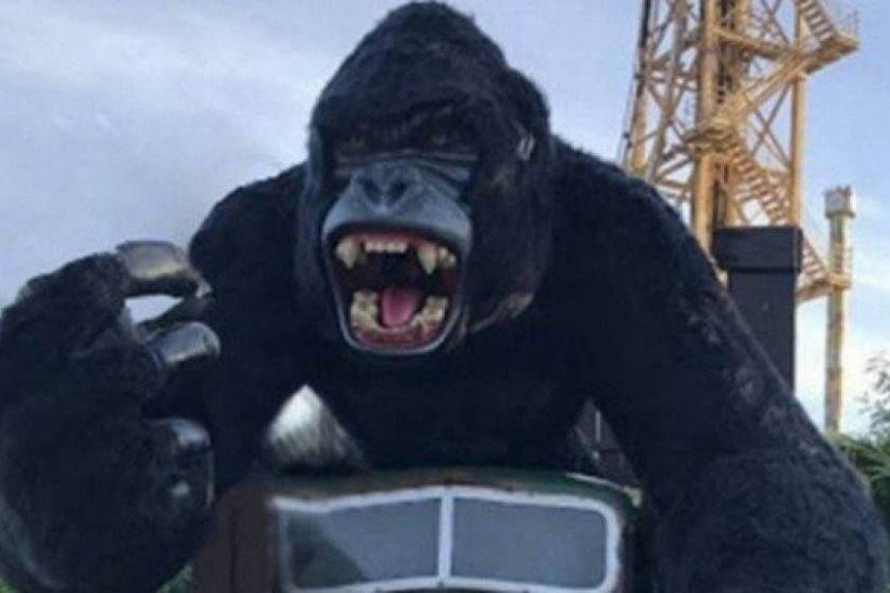 Depois de cair de atração do Beto Carrero World, garoto deixa hospital