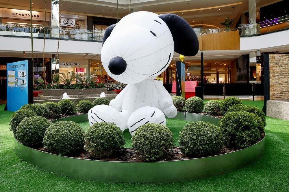 Augusto Costa Fotografia


