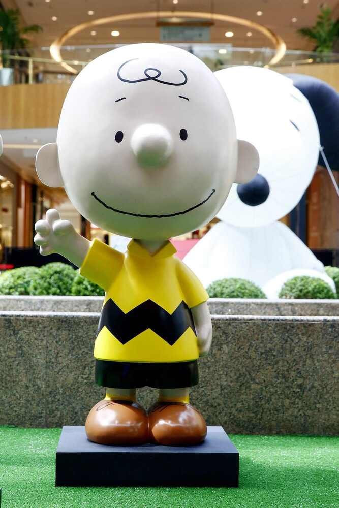 Augusto Costa Fotografia


