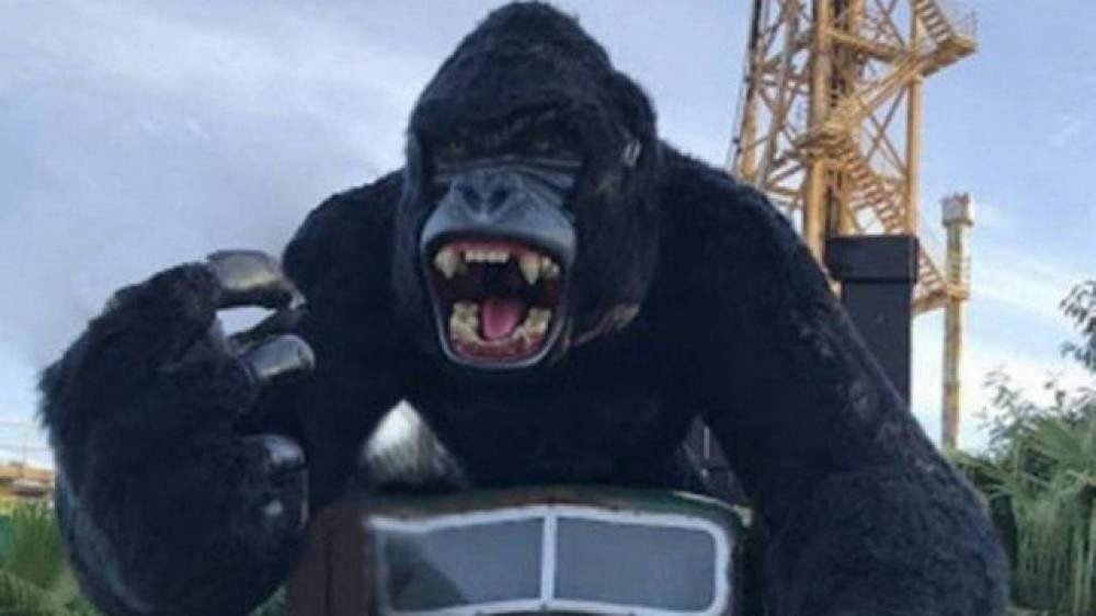 Criança está em estado grave de saúde após cair de atração no Beto Carrero, em SC