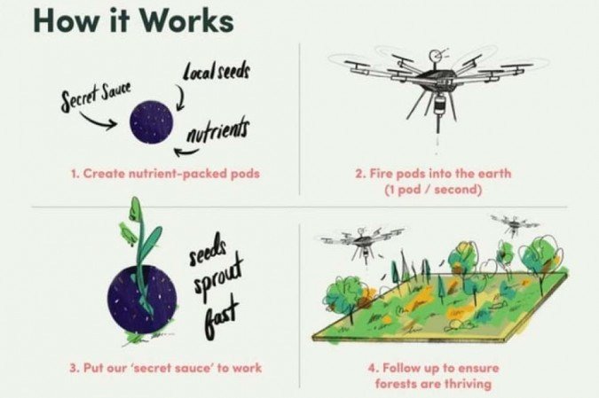 Flash Forest / Kickstarter