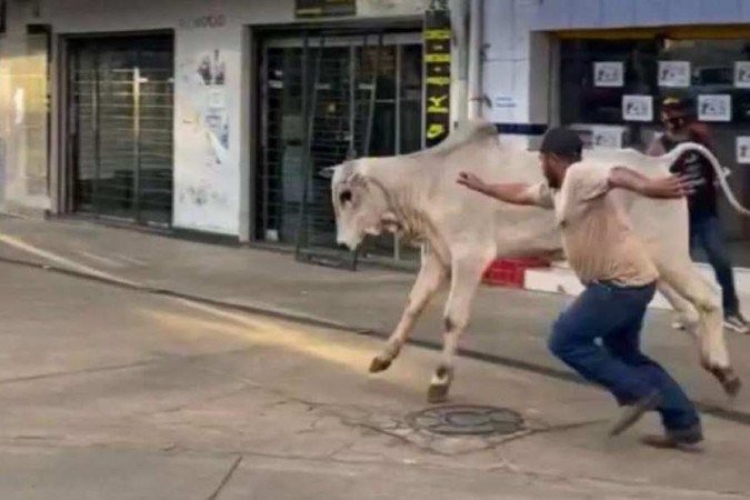  (crédito: Redes sociais/Reprodução )