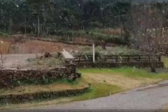  (crédito: Twitter/ reprodução )