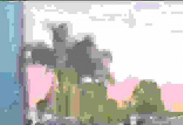  (crédito: Reprodução/PMDF)